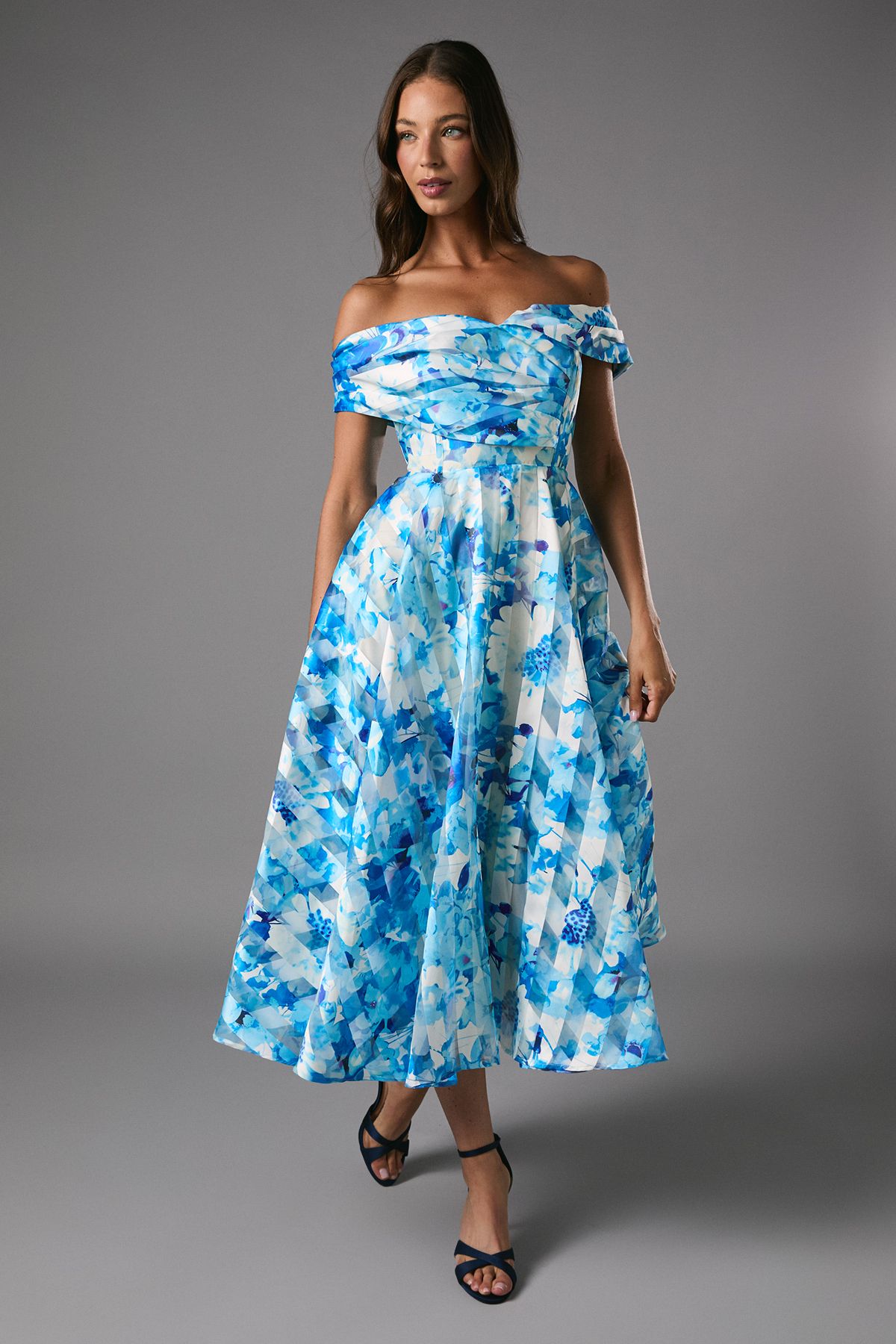 Coast Stripe Organza Pleated Top Floral Print Midi Dress Blue image 1