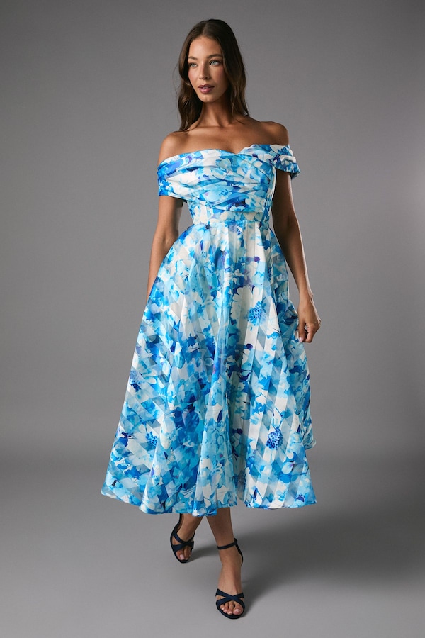 Coast Stripe Organza Pleated Top Floral Print Midi Dress Blue
