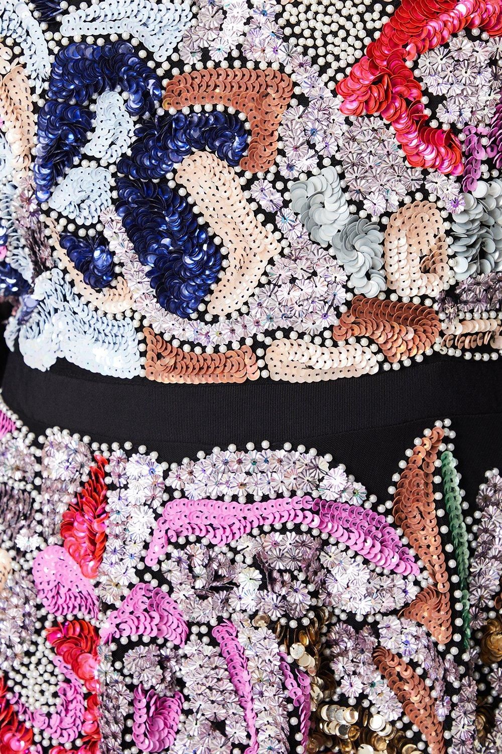 Coast Plus Hand Embellished Mesh Midi Dress With Short Sleeve Black image 5