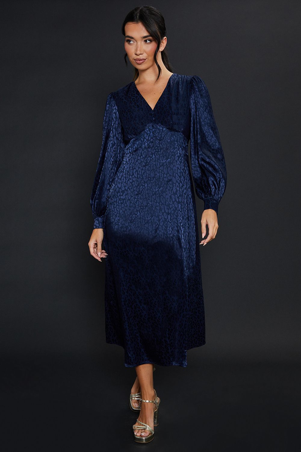 Dorothy Perkins Satin Animal Jacquard Empire Long Sleeve Midi Dress Navy image 1