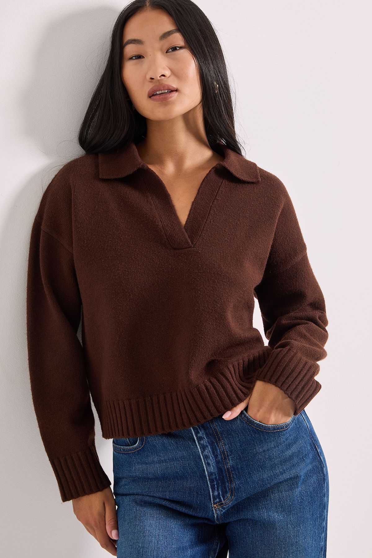 Dorothy Perkins Petite Polo Collared Jumper Chocolate image 2