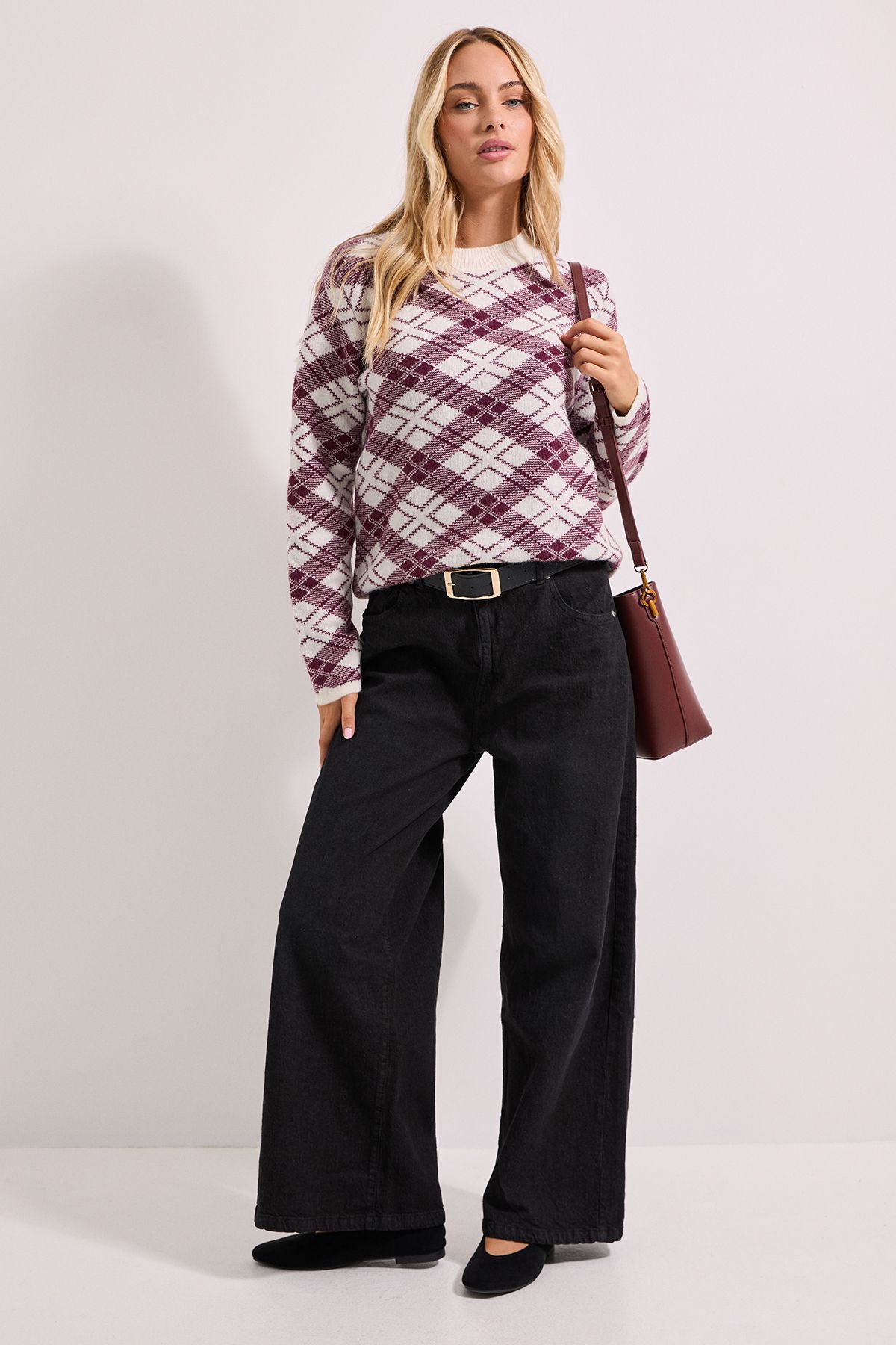 Dorothy Perkins Argyle Jumper Berry image 2