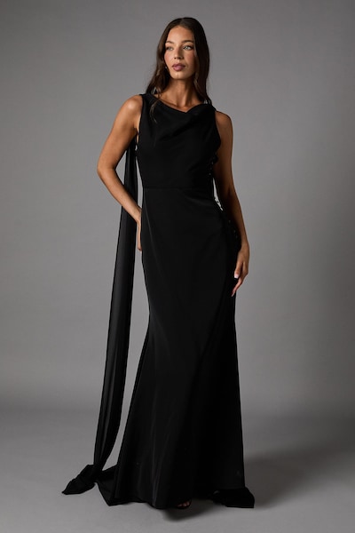 Coast Chiffon Detail Cowl Back Crepe Maxi Dress Black
