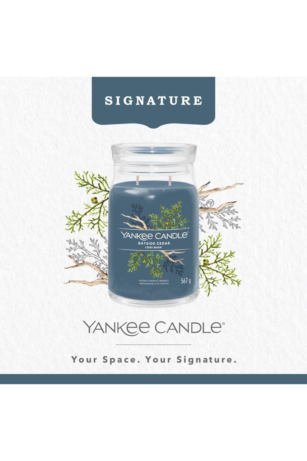 Yankee Candle Signature Large Jar Bayside Cedar Blue image 4
