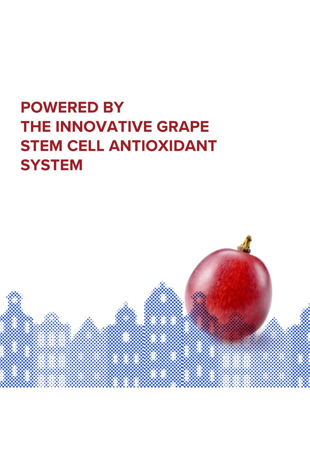 Korres Red Grape Sheer Glow Finish Daily Sunscreen Face cream SPF50 50 ml Multi image 8