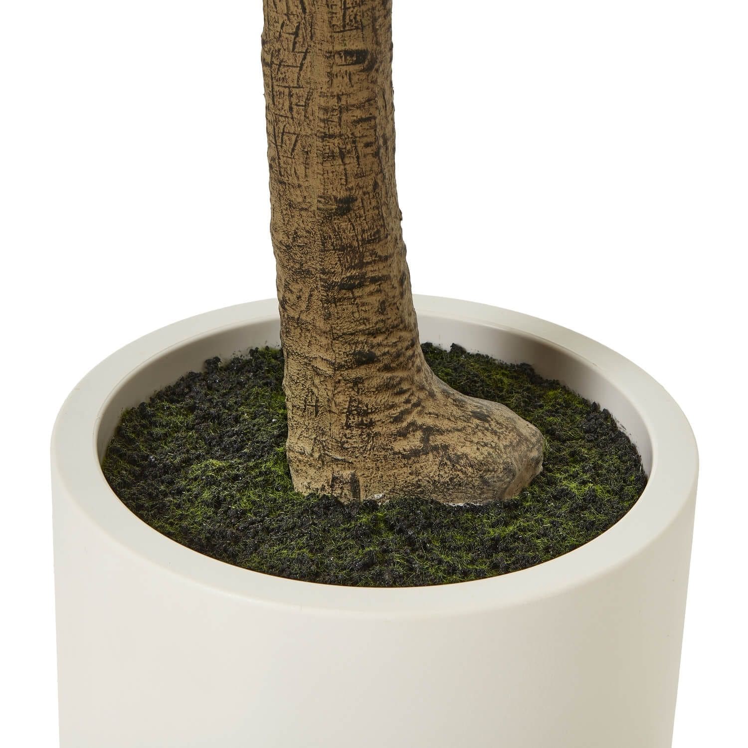 Sostter Olive Tree in White Pot 240cm Mediterranean Style image 4