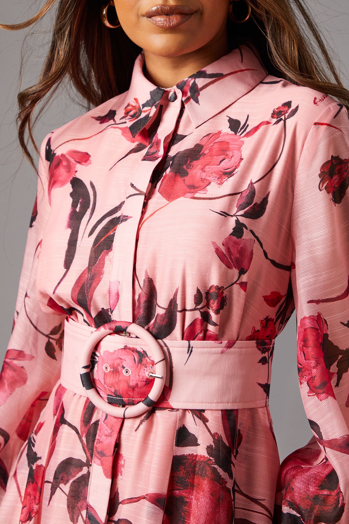 Coast Petite Printed Organza Long Sleeve Midi Dress Pink image 5