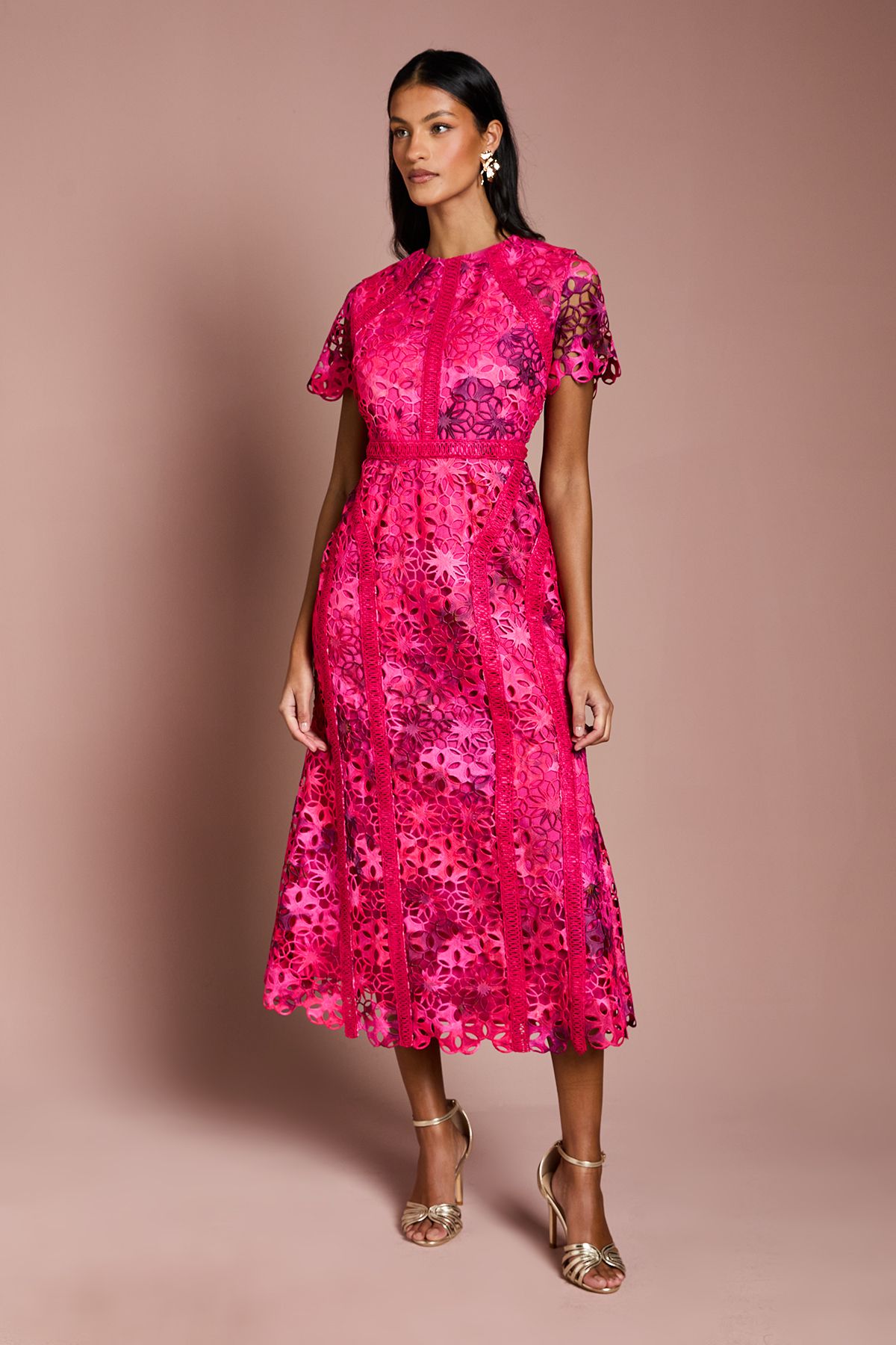 Coast Petite Printed Lace Midi Pencil Dress Pink image 1