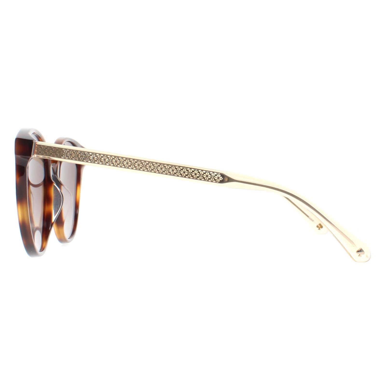 Kate Spade Oval Havana  Brown Gradient Kimberlyn/G/S image 3