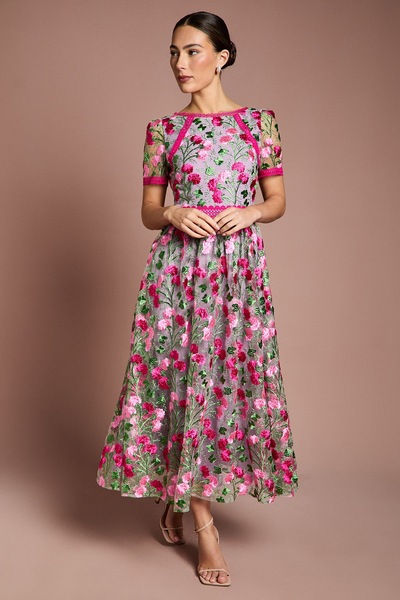 Coast Lace Trim Detail Embroidered Mesh Midi Dress Pink