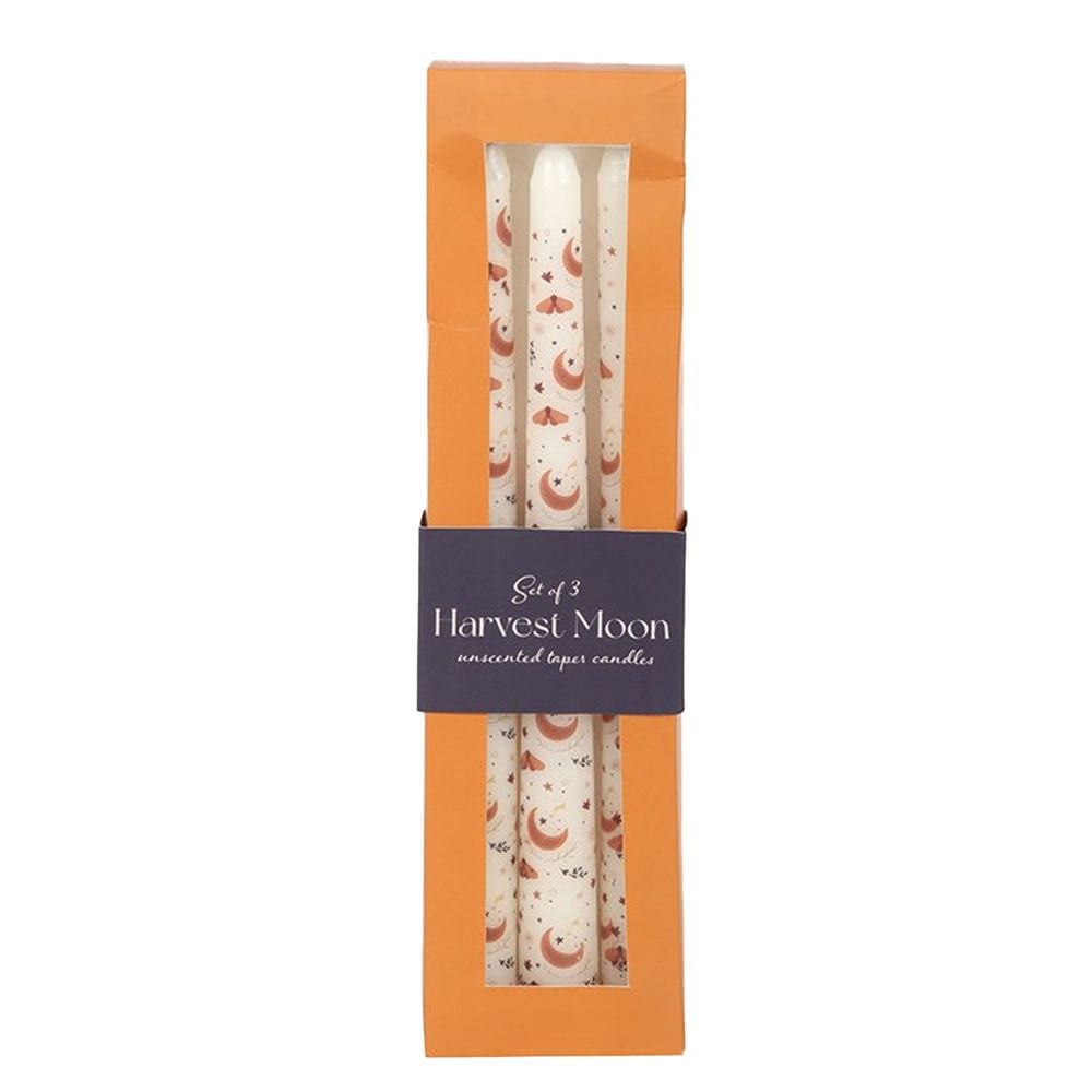 Something Different Taper Harvest Moon Candle Set (Pack of 3) image 3