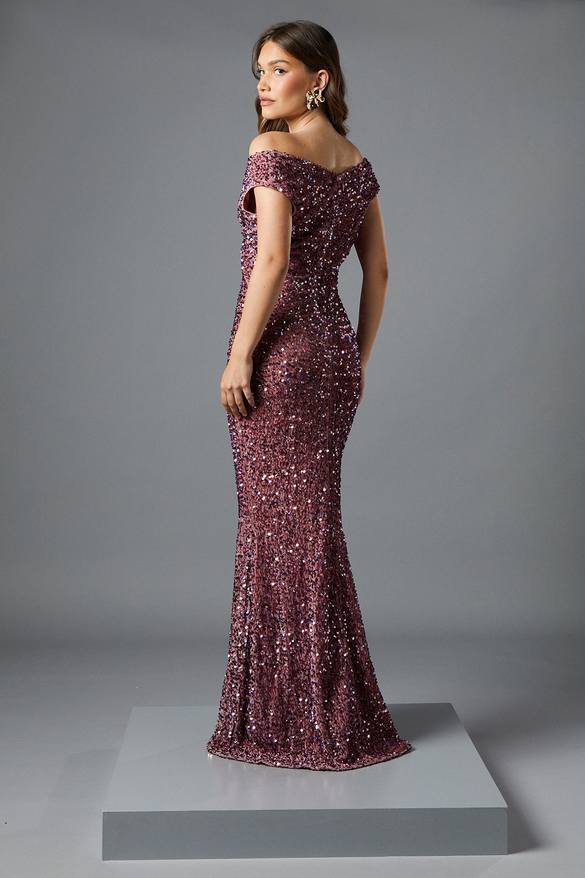 Coast Bardot Velvet Sequin Maxi Dress Blush image 3