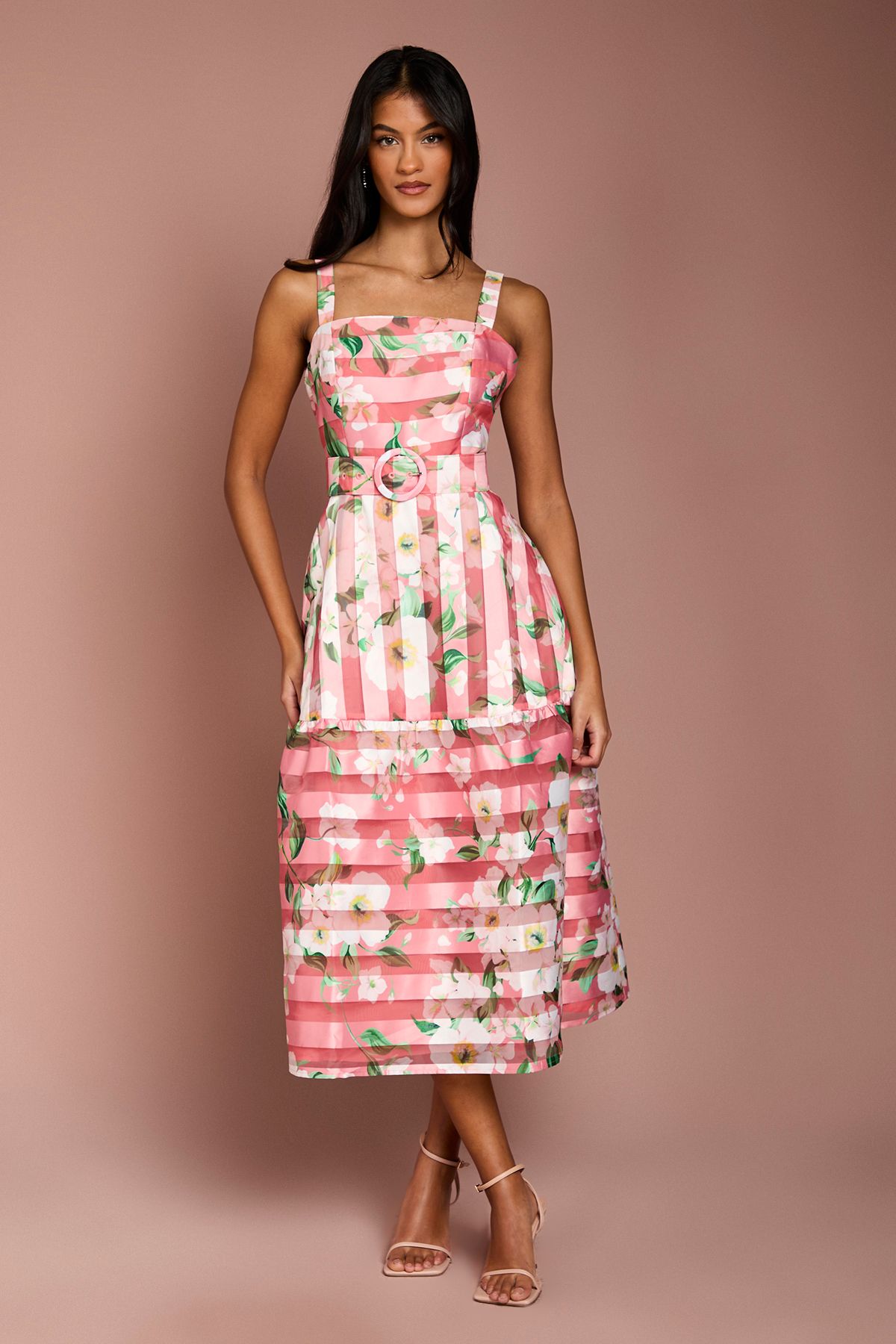 Coast Petite Printed Floral Burnout Organza Midi Dress Pink