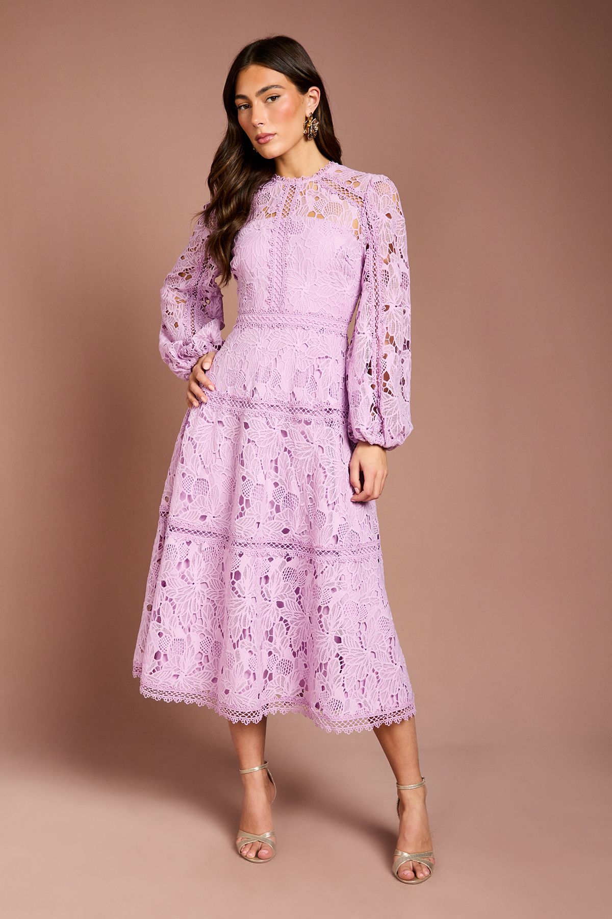 Coast Lace Panelled Long Sleeve Dress Lilac
