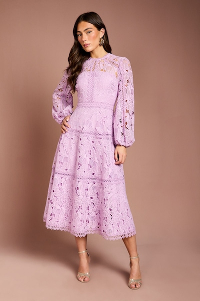Coast Lace Panelled Long Sleeve Dress Lilac