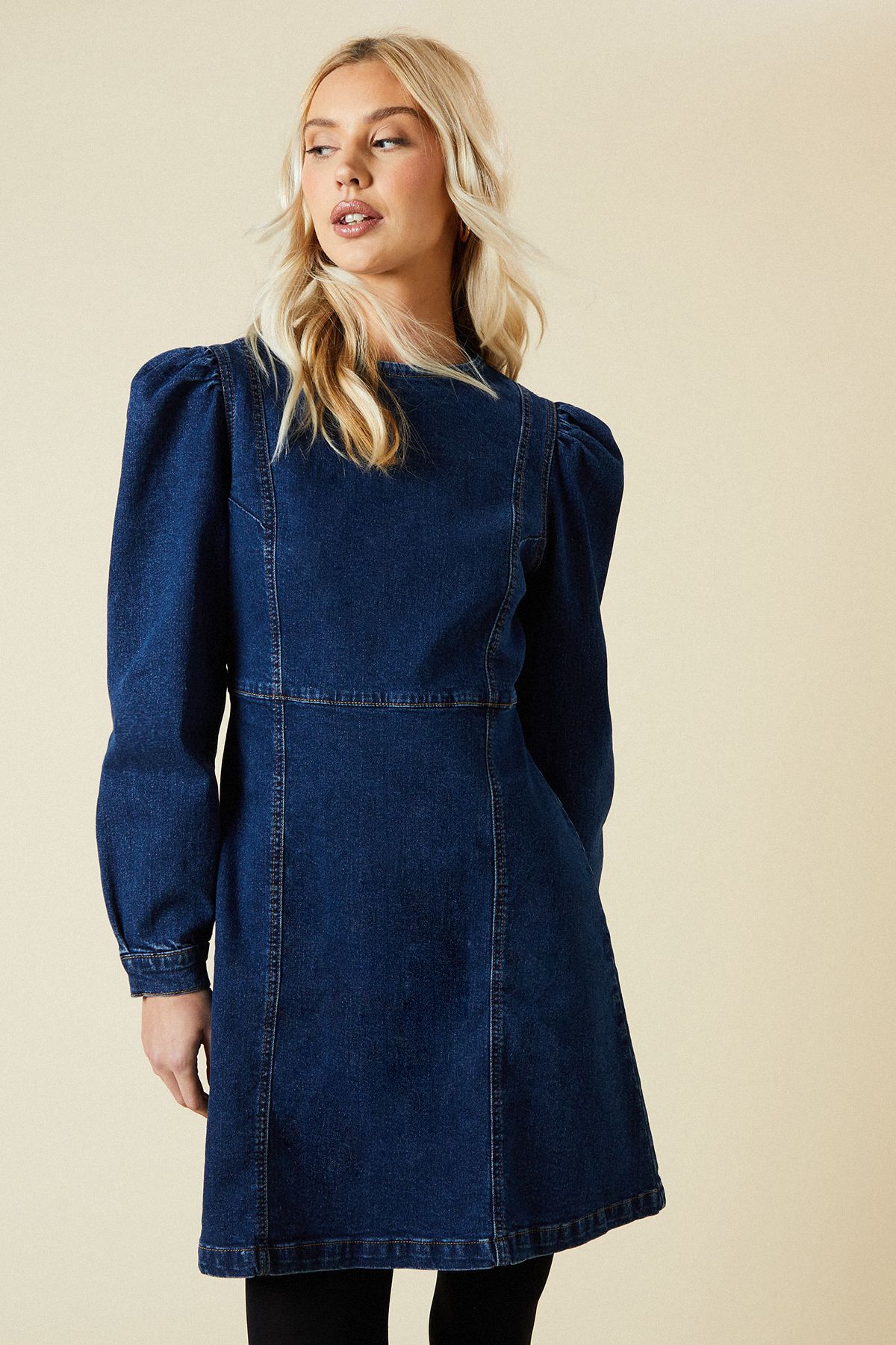 Dorothy Perkins Seam Front Mini Denim Dress Dark Wash image 1