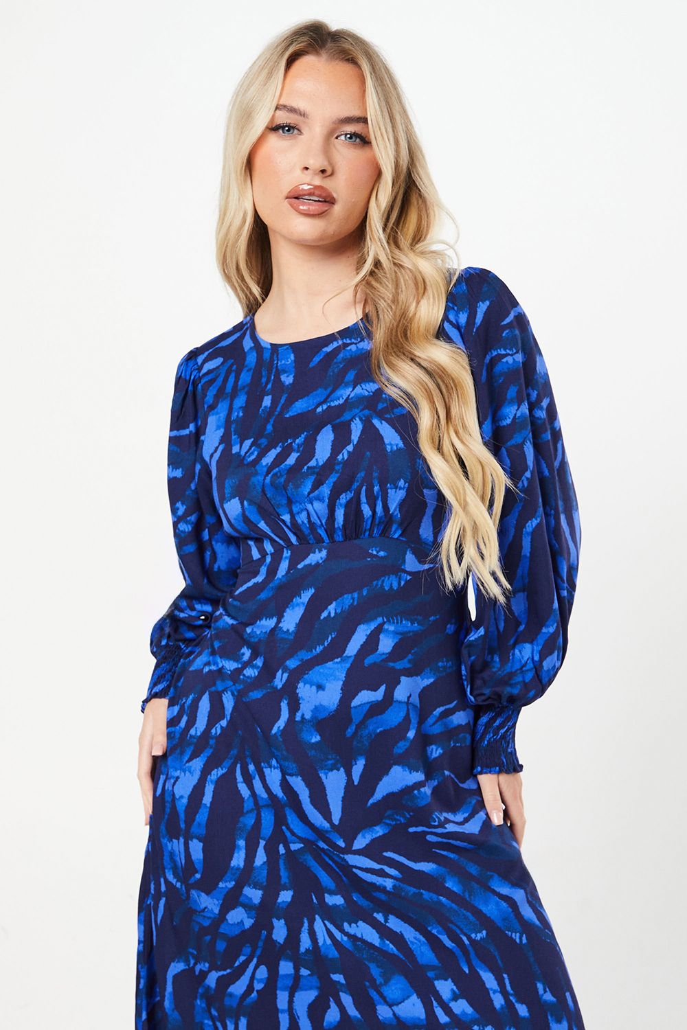 Dorothy Perkins Petite Blue Zebra Shirred Cuff Mini Dress Blue image 4