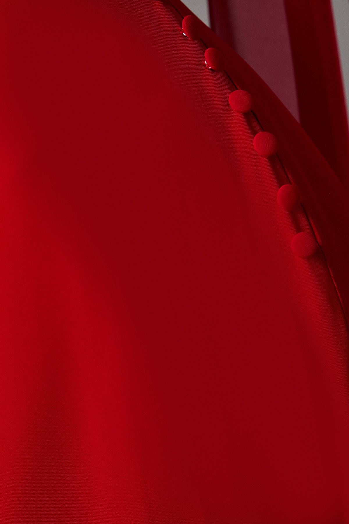 Coast Chiffon Detail Cowl Back Crepe Maxi Dress Red image 5