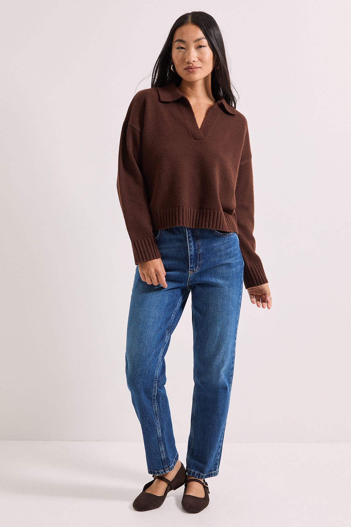 Dorothy Perkins Petite Polo Collared Jumper Chocolate image 4