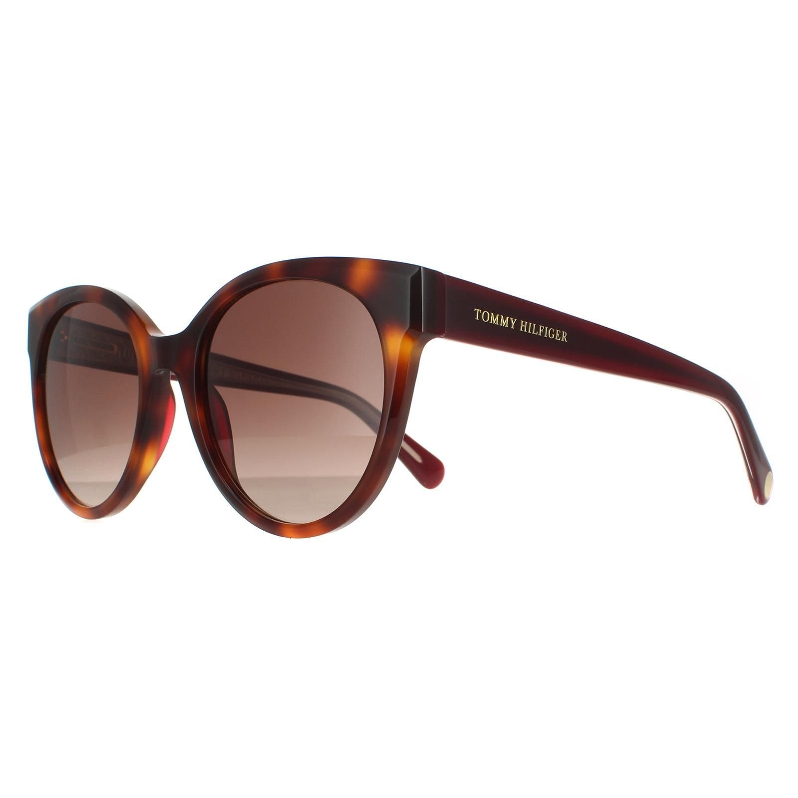 Tommy Hilfiger Cat Eye Havana Brown Gradient TH 1885/S image 2