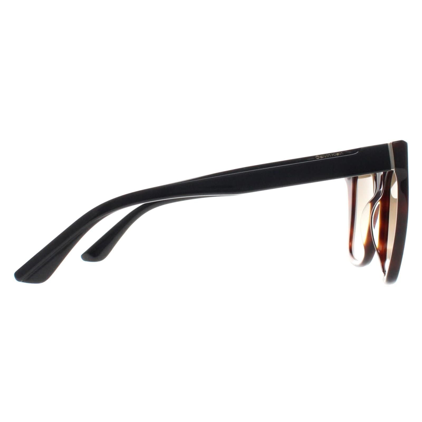 CALVIN KLEIN Butterfly Brown Havana Brown Gradient CK22530S image 4