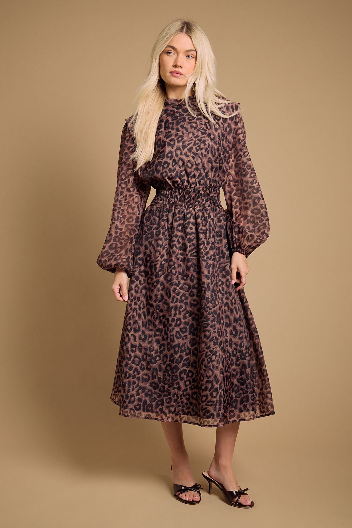 Oasis Floral Organza Shirred Waist Midi Dress Animal image 1