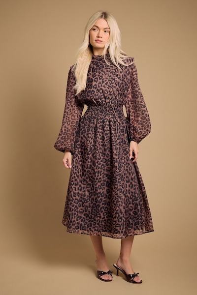 Oasis Floral Organza Shirred Waist Midi Dress Animal