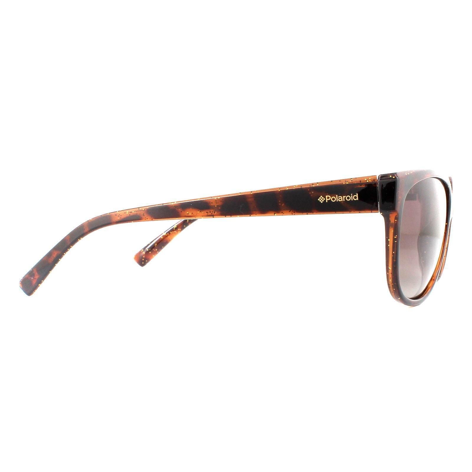 Polaroid Cat Eye Dark Havana Glitter Brown Gradient Polarized Sunglasses image 4