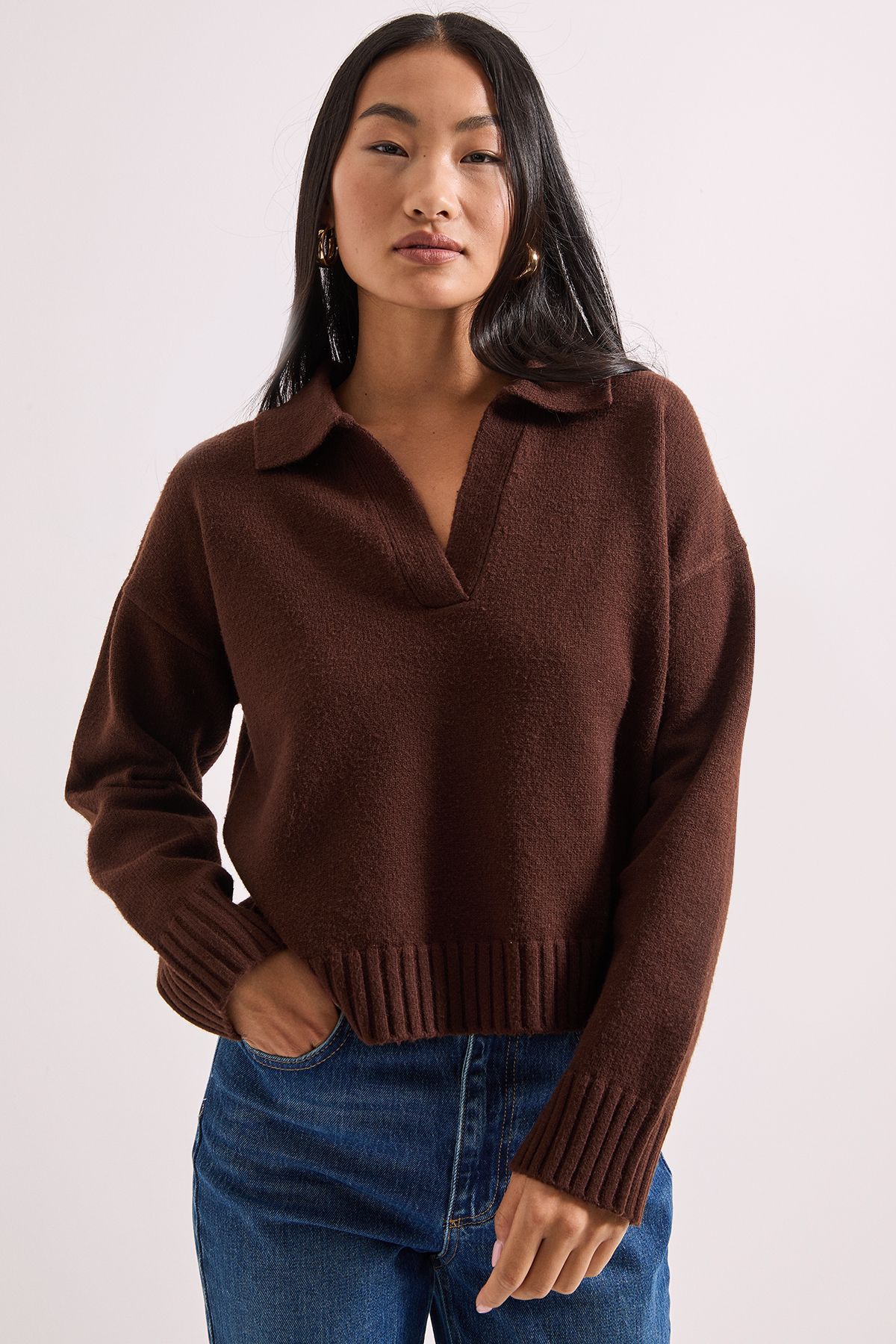 Dorothy Perkins Petite Polo Collared Jumper Chocolate image 5