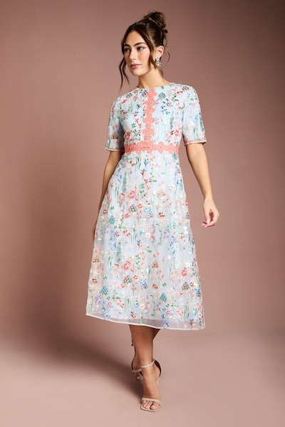 Coast Embroidered Floral With Laid On Lace Midi Dress Light Blue