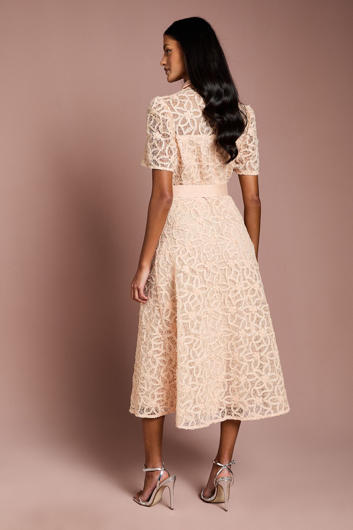 Coast Petite Floral Lace Collared Midi Dress Nude image 3