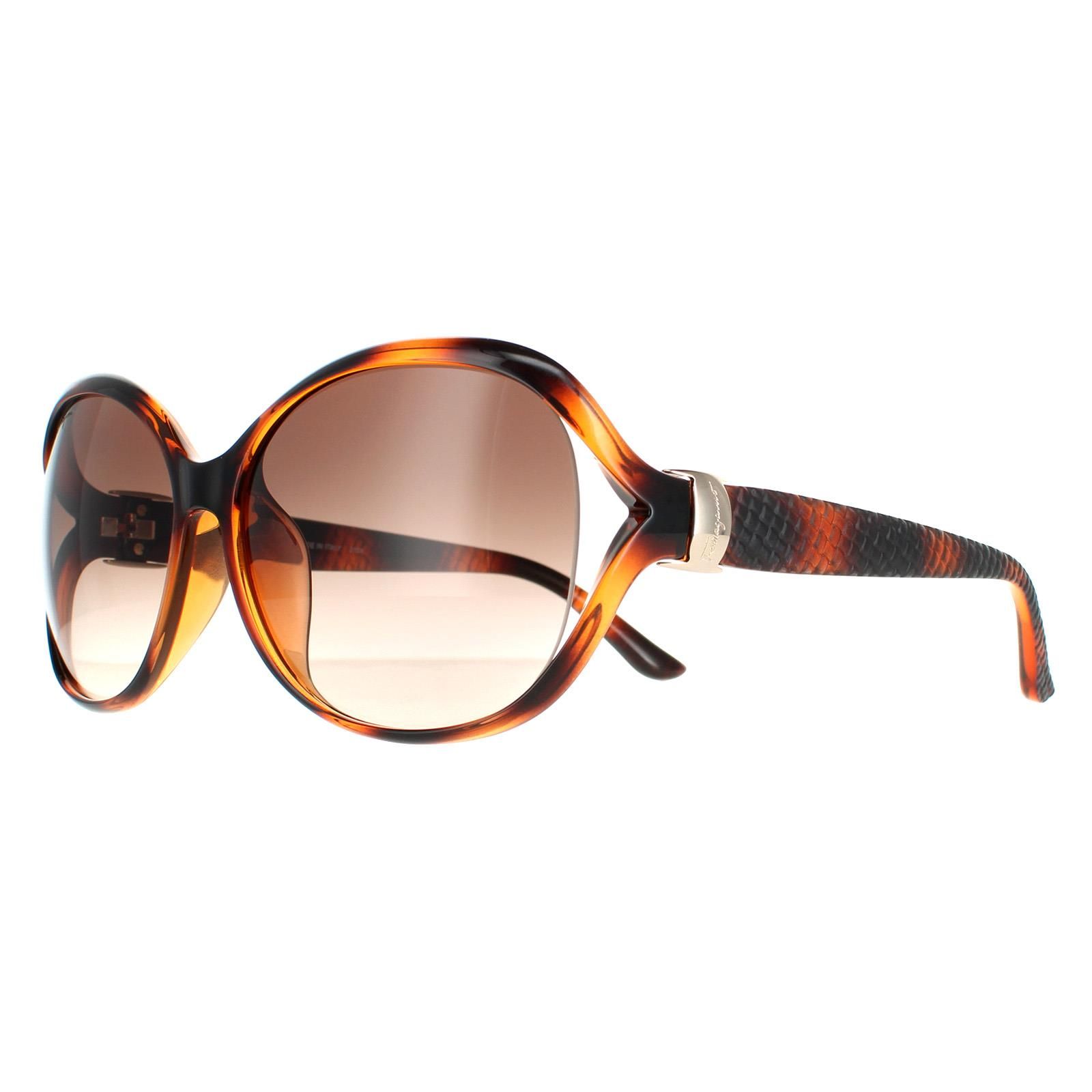 Salvatore Ferragamo Oval Tortoise Brown Gradient SF770SA image 2