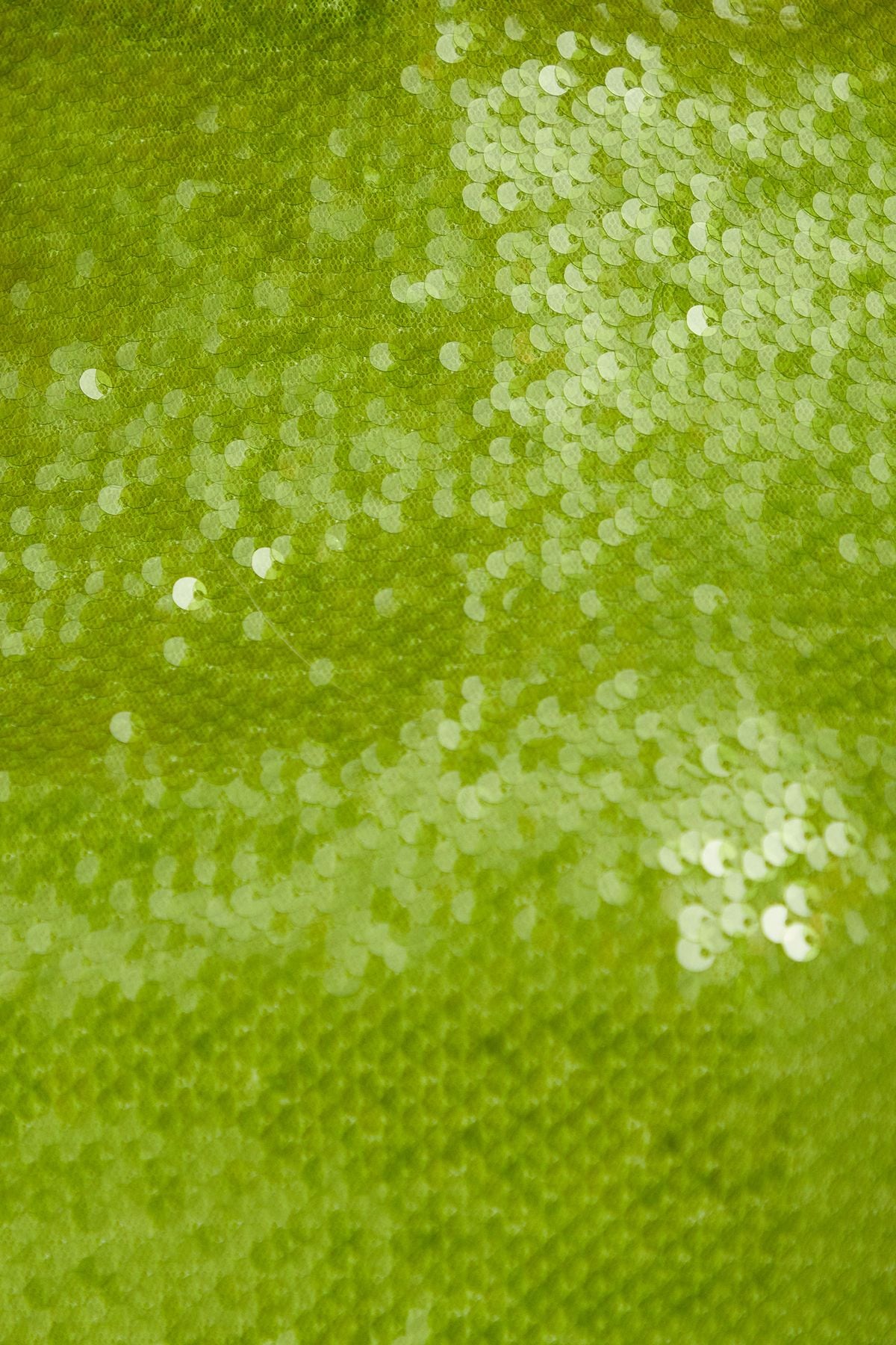 MissPap Sequin Racer Top Green image 5