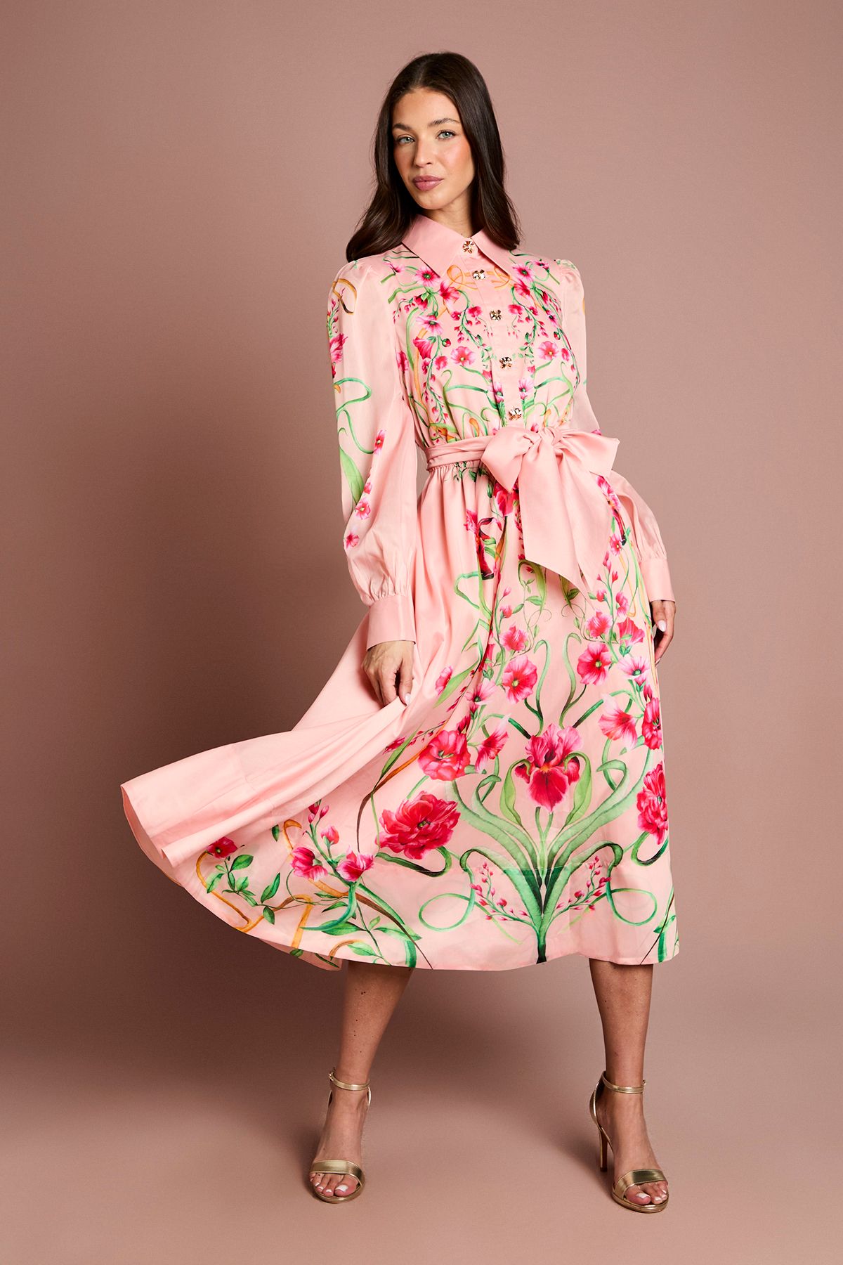 Coast Boarder Print Organza Shirt Dress Blush