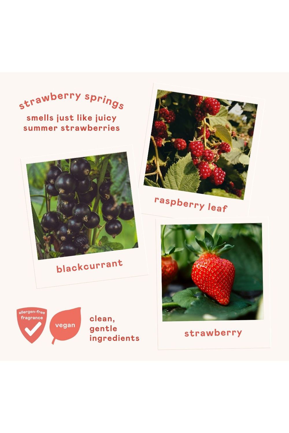 Nala's Baby Nala's Kids 2in1 Wash & Shampoo Strawberry Springs 200ml Multi image 3