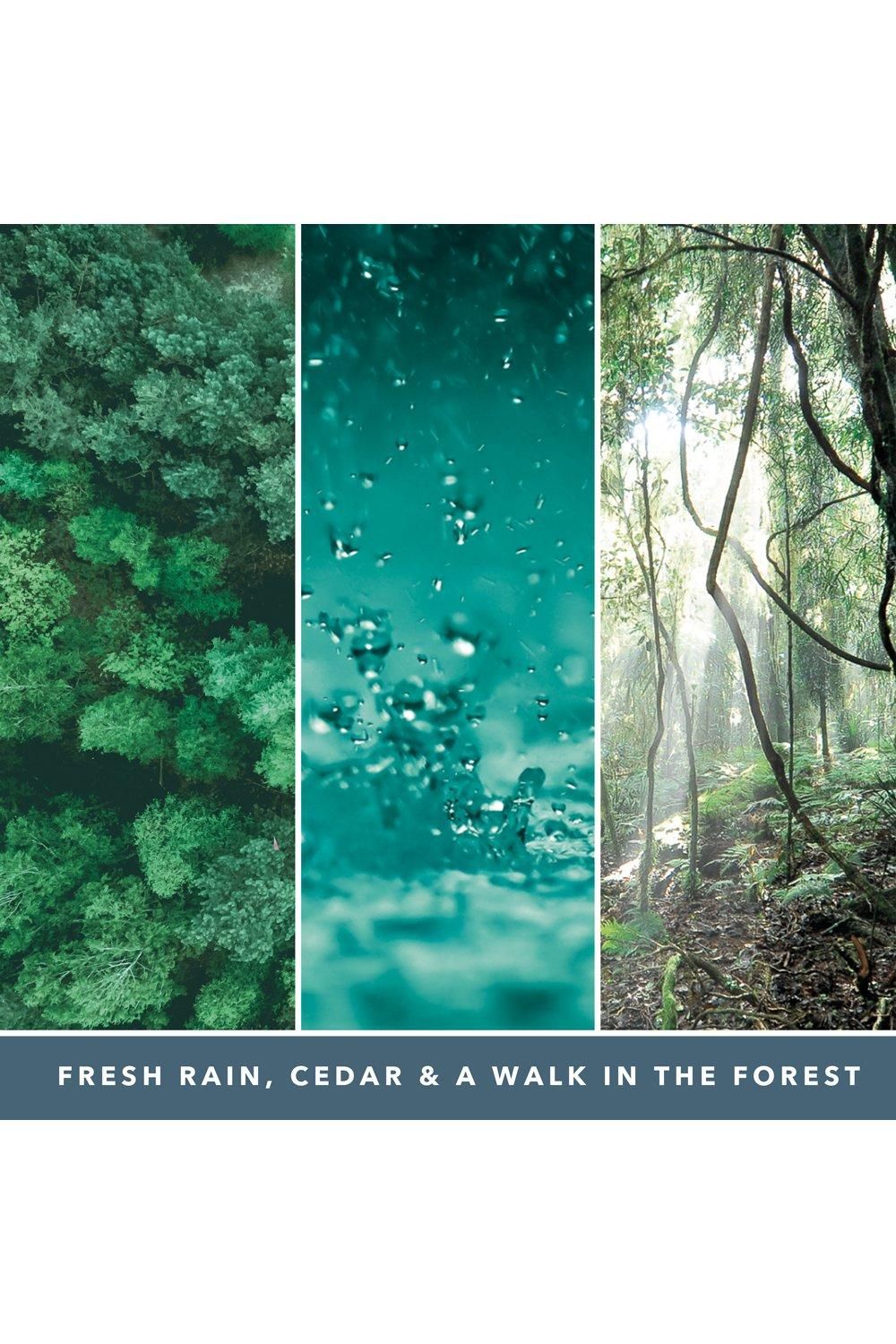 Yankee Candle Signature Large Tumbler Bayside Cedar Blue image 4