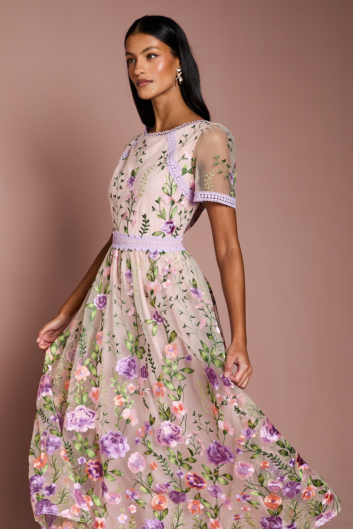 Coast Petite Lace Trim Detail Embroidered Mesh Midi Dress Blush image 2