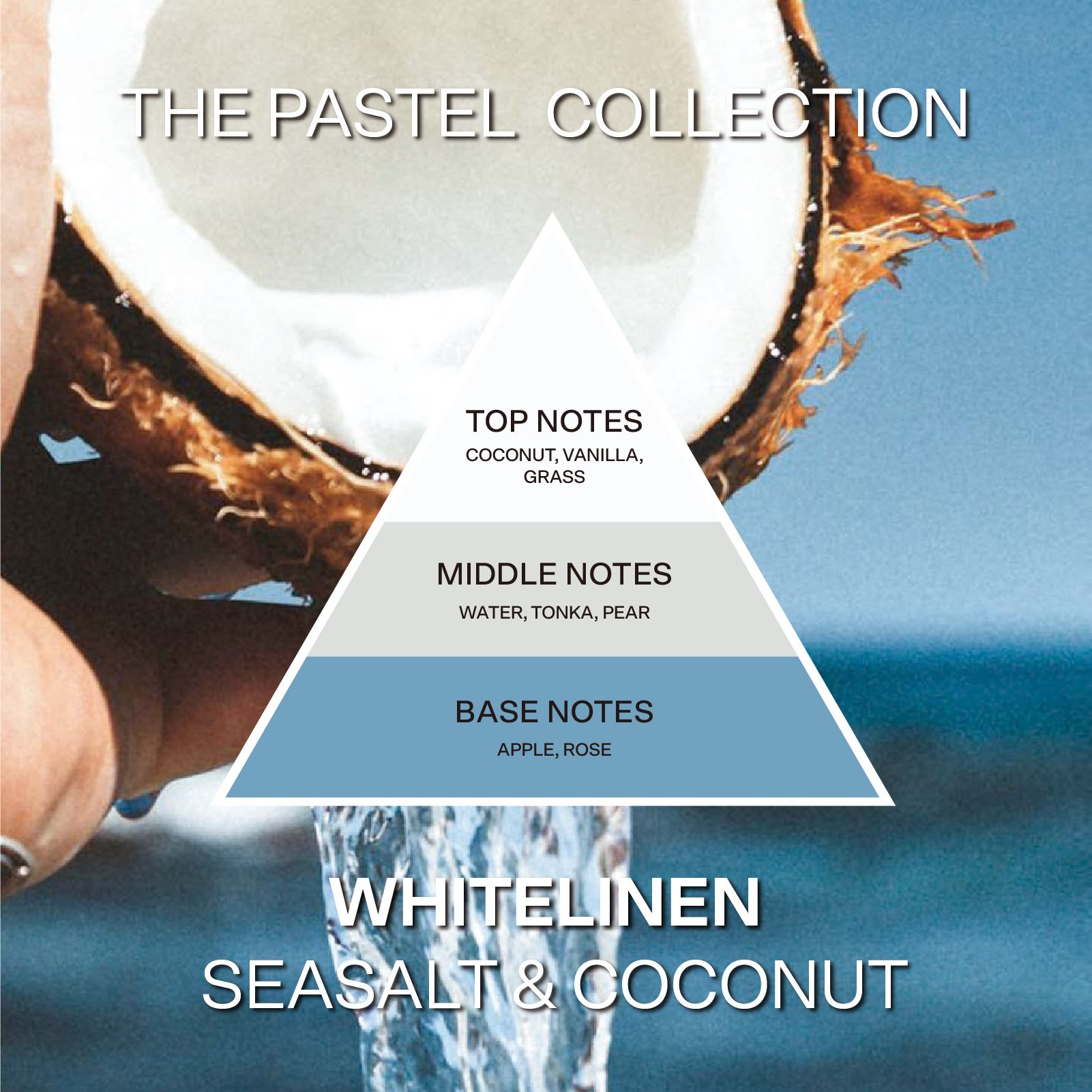 French Connection Sea Salt & Coconut Reed Diffuser 100ML Pastel Range image 3