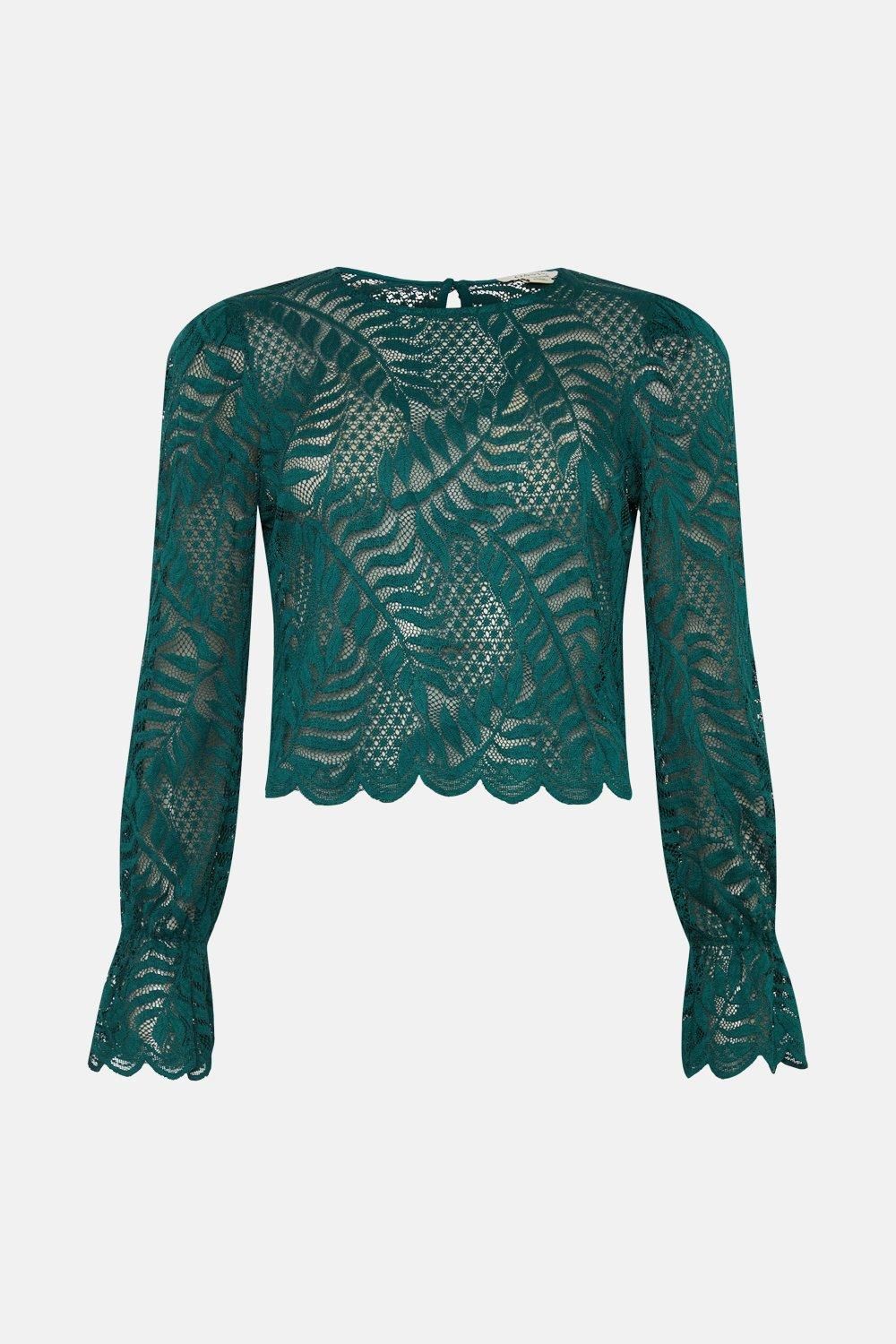 Oasis Long Sleeved Delicate Lace Top Green image 4
