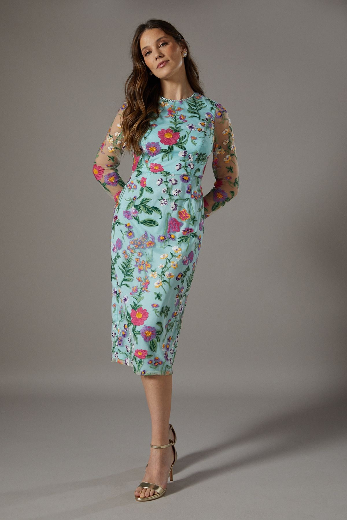 Coast Embroidered Floral Mesh Pencil Dress Blue image 1