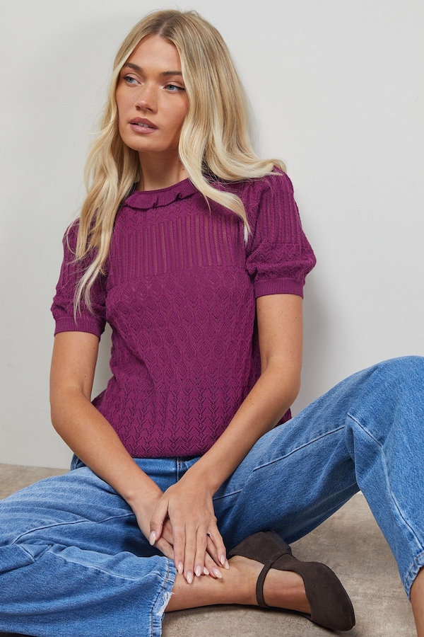 Oasis Puff Sleeve Ruffle Neck Short Sleeve Jumper Plum