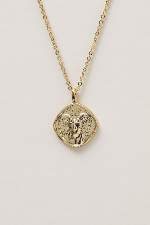 Jon Richard Gold Plated Molten Horoscope Pendant - Capricorn