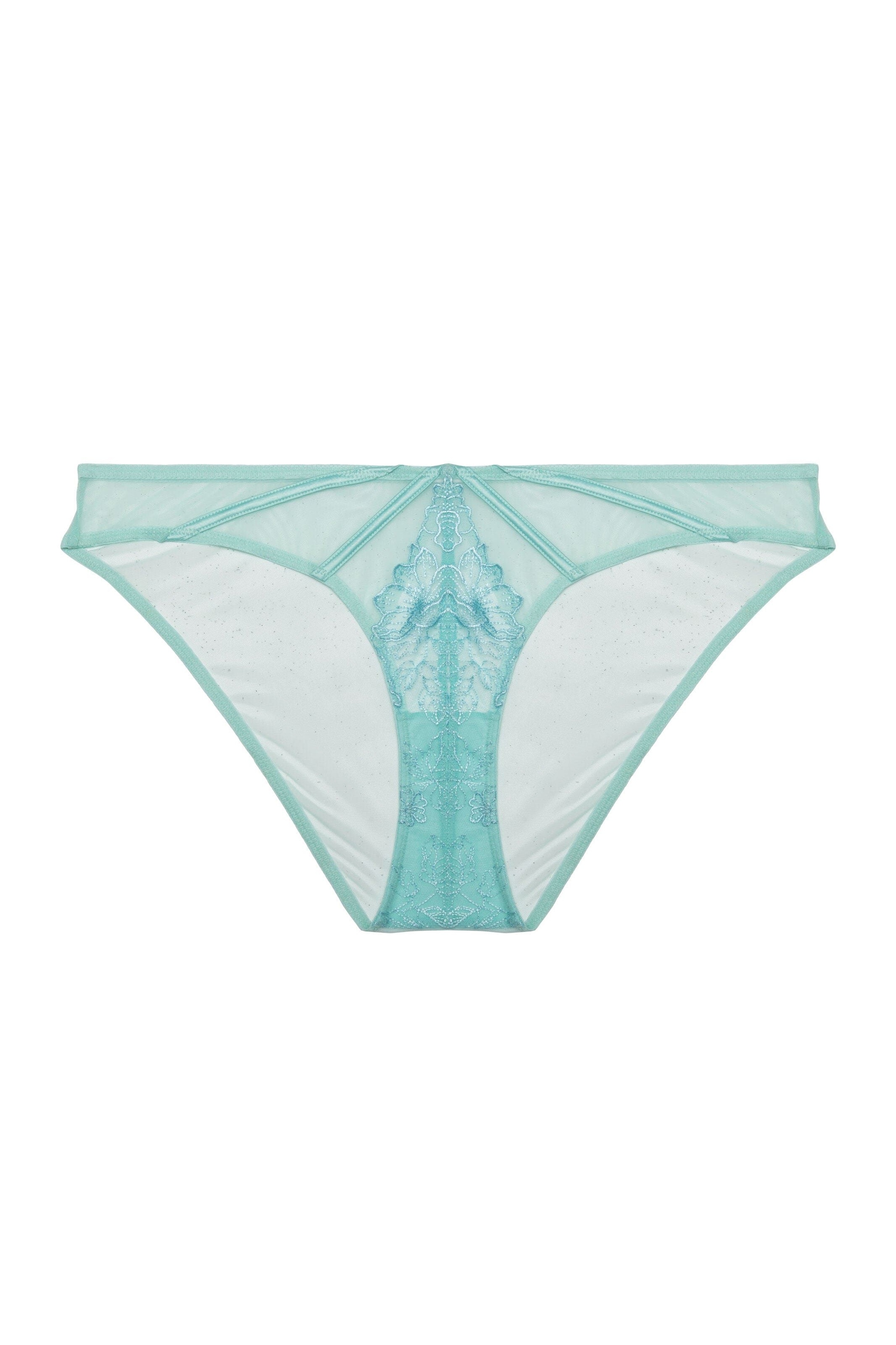 Playful Promises Valerie Embroidery & Mesh Brief image 8