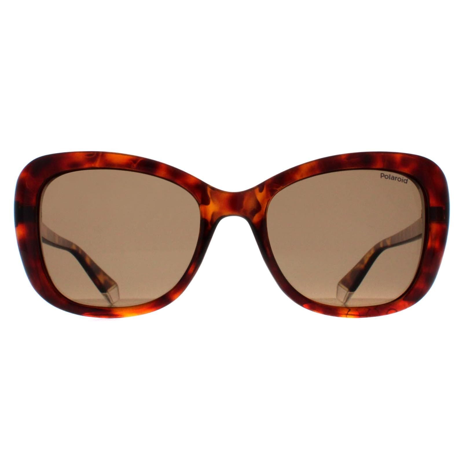 Polaroid Butterfly Havana Bronze Polarized PLD 4132/S image 1