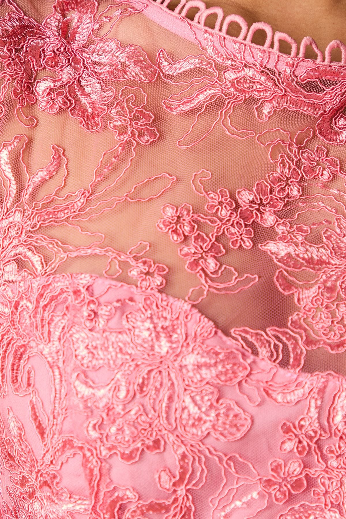 Oasis Petite Floral Lace Scallop Detail Midi Dress Coral image 5