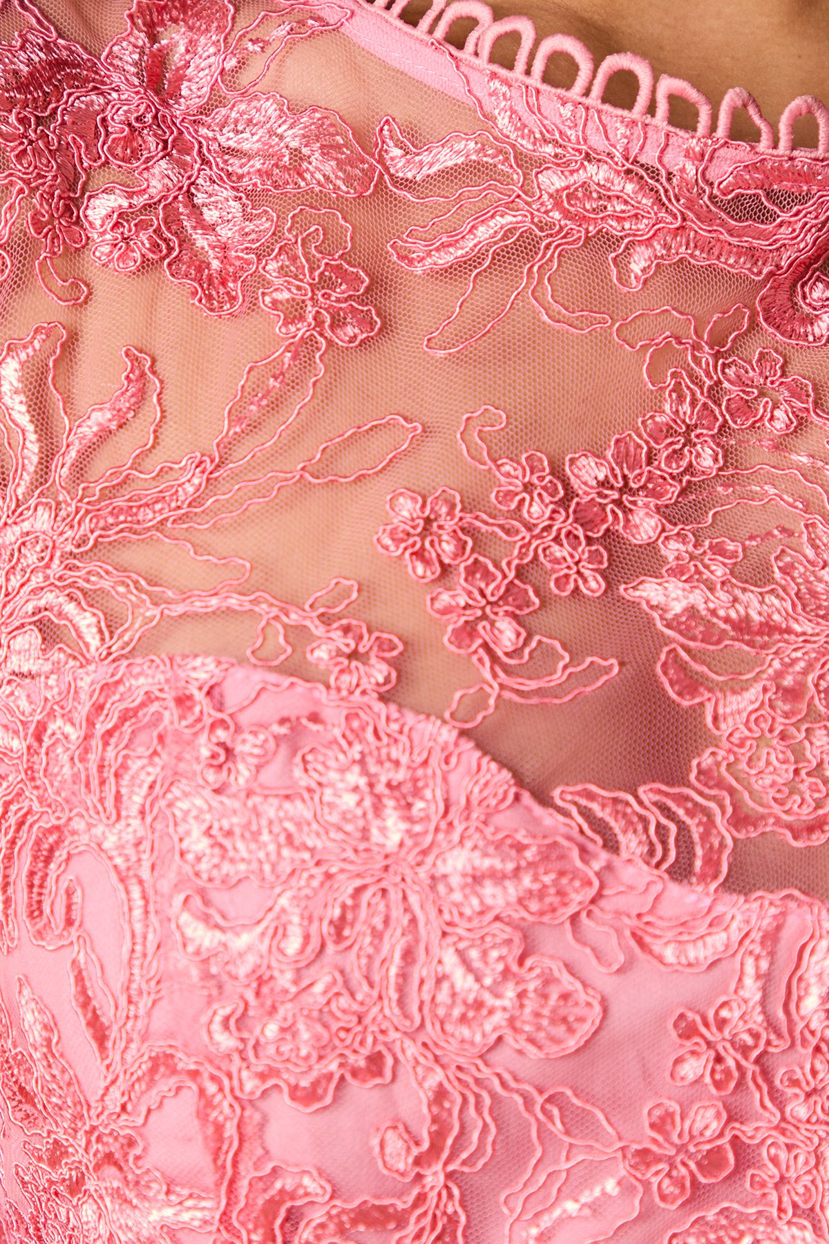 Oasis Petite Floral Lace Scallop Detail Midi Dress Coral image 5