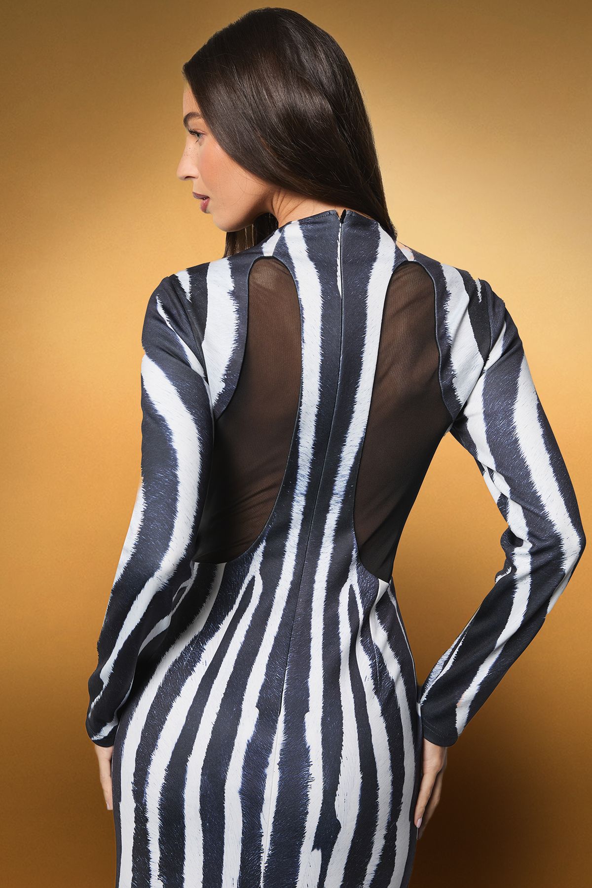 Coast Coast Muse Zebra Printed Maxi Dress Mono image 4