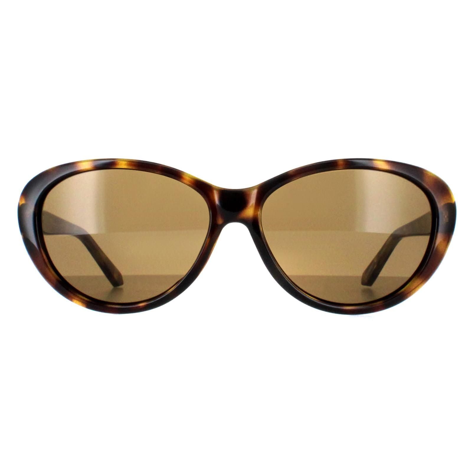 Ted Baker Oval Havana Brown Gradient TB1315 Cougar image 1