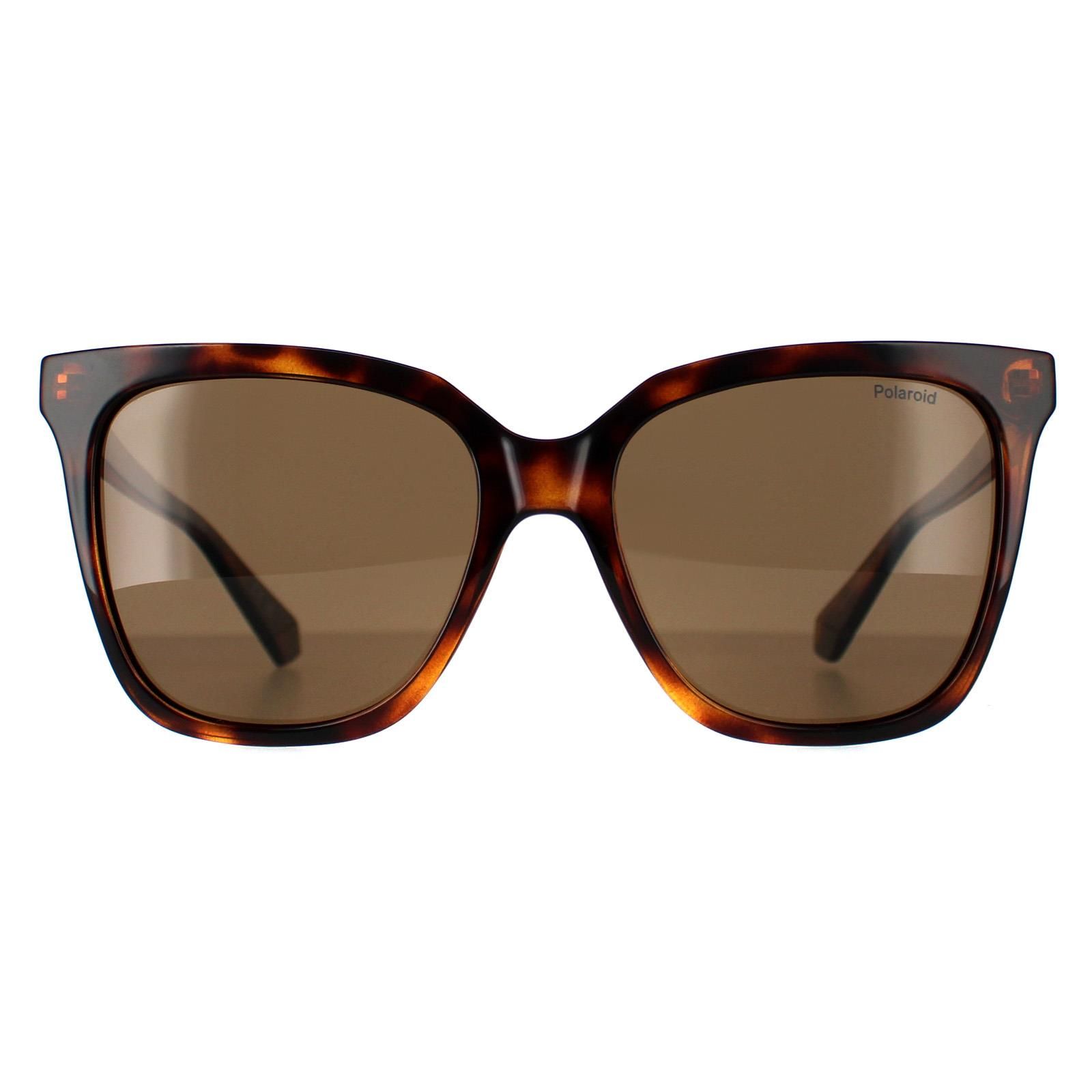 Polaroid Square Havana Bronze Polarized PLD 4155/S/X image 1