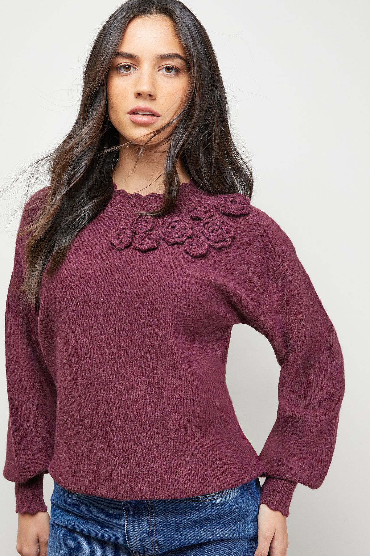 Oasis Floral Detail Long Sleeve Jumper Plum image 1